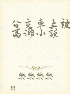 公交车上被摸到高潮小说