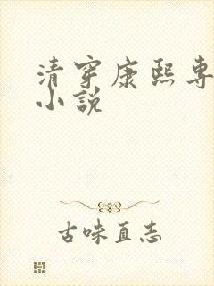 清穿康熙专宠的小说