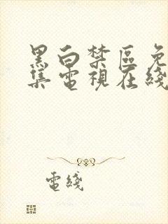 黑白禁区免费全集电视在线观看