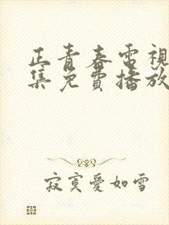 正青春电视剧全集免费播放高清版封面