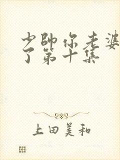 少帅你老婆又跑了第十集封面