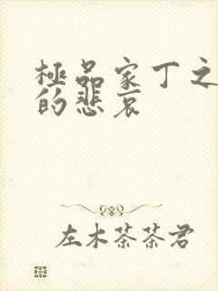 极品家丁之侠女的悲哀