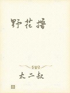 野花撸封面