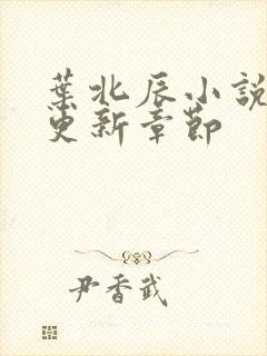 叶北辰小说最新更新章节