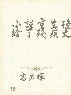 小说重生后我嫁给了残疾大佬