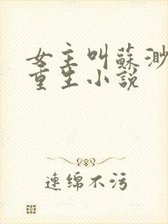 女主叫苏渺渺的重生小说封面