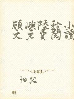 顾屿陆矜小说全文免费阅读封面