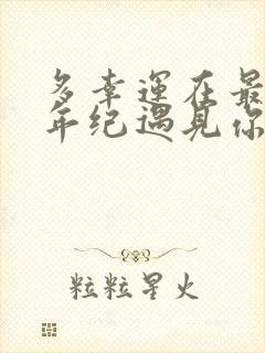 多幸运在最美的年纪遇见你是哪首歌的歌词封面