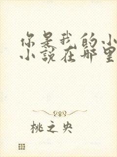 你是我的小确幸小说在哪里可以看