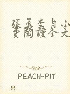 张勇李月小说免费阅读全文