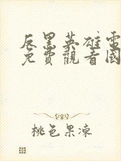 反黑英雄电视剧免费观看国语全集