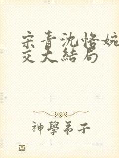 宋青沈恪婉秋外交大结局