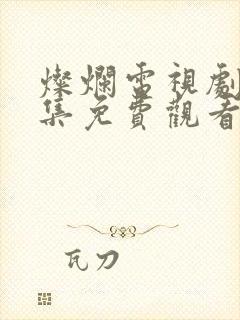 灿烂电视剧40集免费观看高清