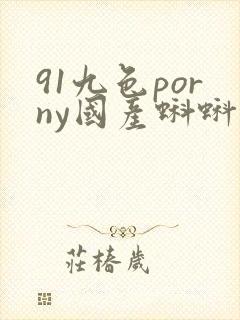 91九色porny国产蝌蚪中文精品