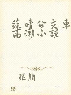 苏晴公交车被弄高潮小说