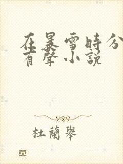 在暴雪时分小说有声小说