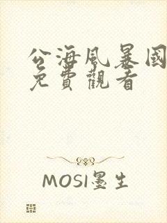 公海风暴国语版免费观看