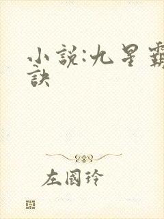 小说:九星霸体诀
