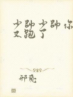 少帅少帅你老婆又跑了