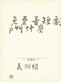 免费看短剧app叫什么