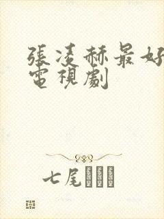 张凌赫最好看的电视剧