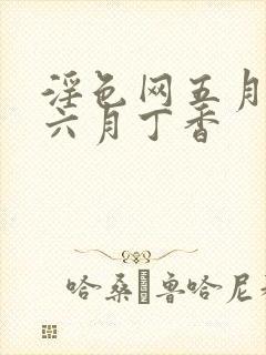 淫色网五月婷婷六月丁香