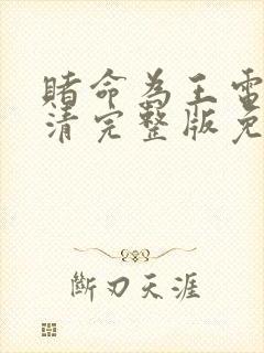 赌命为王电影高清完整版免费观看