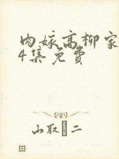 肉嫁高柳家1一4集免费