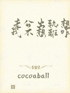 老公出轨想离婚我不想离咋办