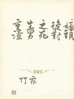 重生之后嫁给了渣男死对头