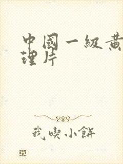 中国一级黄色伦理片