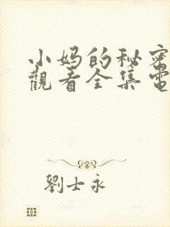 小妈的秘密免费观看全集电视剧完整封面