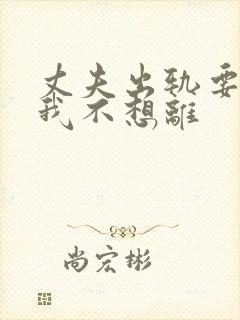 丈夫出轨要离婚我不想离封面