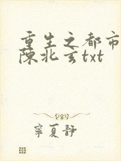 重生之都市仙尊陈北玄txt