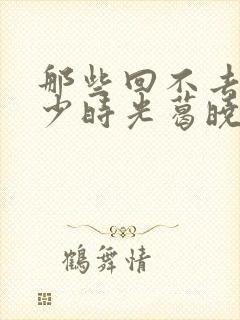 那些回不去的年少时光葛晓菲封面