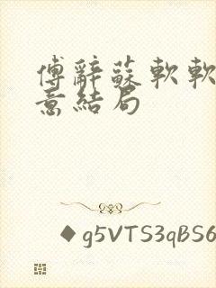 傅辞苏软软沈知意结局封面