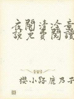 夜阑清冷意欢小说免费阅读