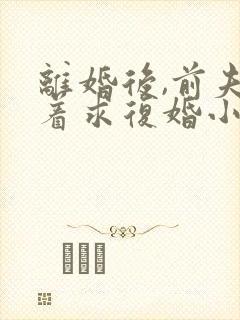 离婚后,前夫哭着求复婚小说阅读