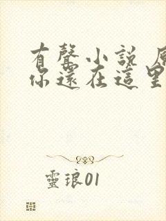 有声小说 原来你还在这里