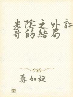 光阴之外许青哥哥的结局