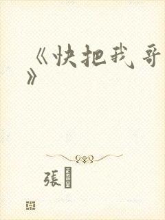 《快把我哥带走》封面