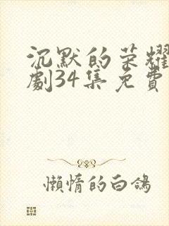 沉默的荣耀电视剧34集免费观看封面