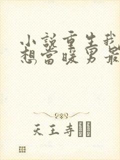 小说重生我真没想当暖男最新章节