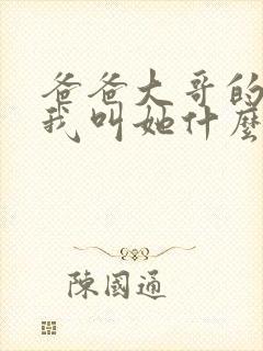 爸爸大哥的女儿我叫她什么封面