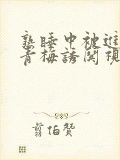 熟睡中被进了H青梅诱哄视频