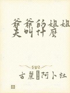 爷爷的姐姐的丈夫叫什么