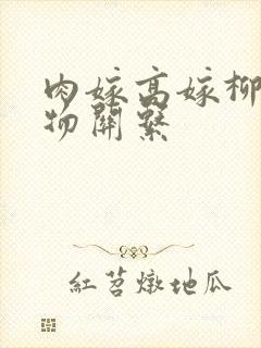 肉嫁高嫁柳家人物关系