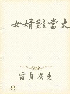 女婿难当大结局封面