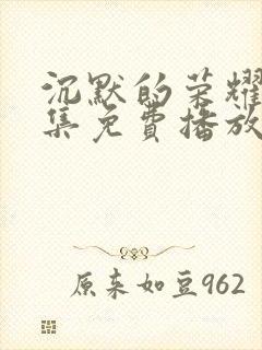 沉默的荣耀32集免费播放