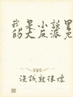 我是小说里共同的大反派免费阅读封面